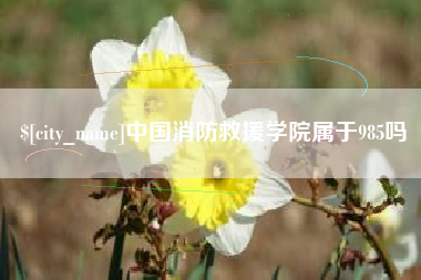 禹州中国消防救援学院属于985吗