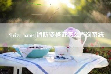 禹州消防资格证怎么查询系统