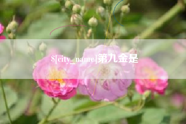 禹州第九金是