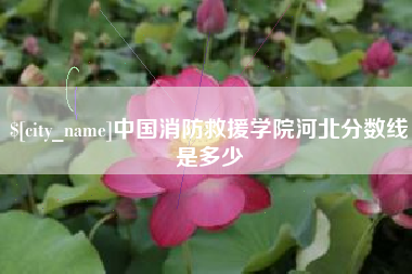 禹州中国消防救援学院河北分数线是多少