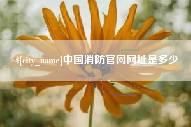 禹州中国消防官网网址是多少