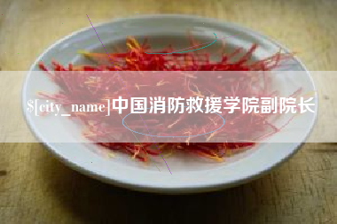 禹州中国消防救援学院副院长