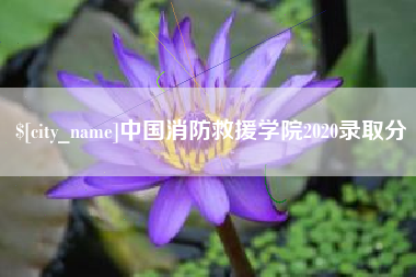 禹州中国消防救援学院2020录取分