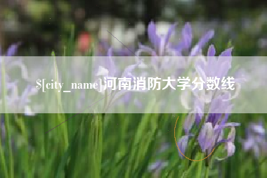 禹州河南消防大学分数线