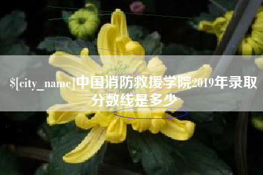 禹州中国消防救援学院2019年录取分数线是多少