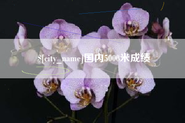 禹州国内5000米成绩