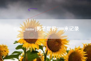 禹州男子世界5000米记录