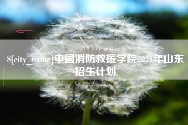 禹州中国消防救援学院2021年山东招生计划