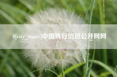 禹州中国执行信息公开网网
