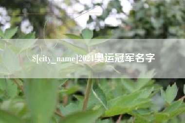 禹州2024奥运冠军名字