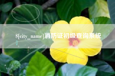 禹州消防证初级查询系统