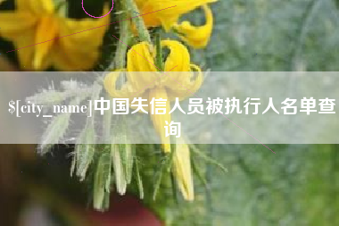 禹州中国失信人员被执行人名单查询