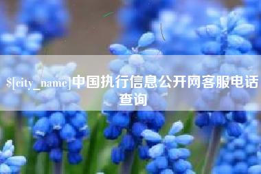 禹州中国执行信息公开网客服电话查询