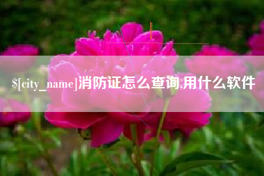 禹州消防证怎么查询,用什么软件
