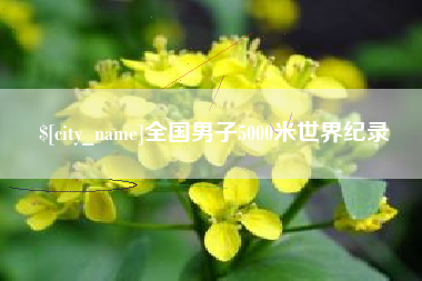 禹州全国男子5000米世界纪录