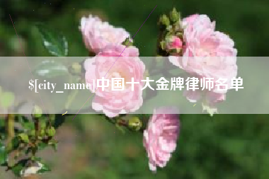 禹州中国十大金牌律师名单