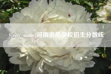 禹州河南消防学校招生分数线