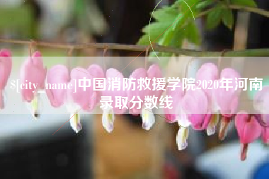 禹州中国消防救援学院2020年河南录取分数线