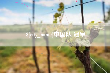 禹州中国队 冠军