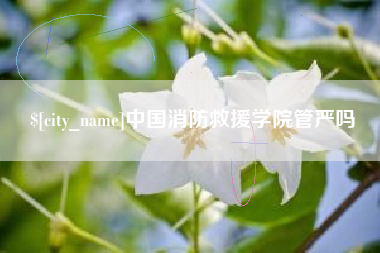 禹州中国消防救援学院管严吗