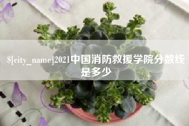 禹州2021中国消防救援学院分数线是多少
