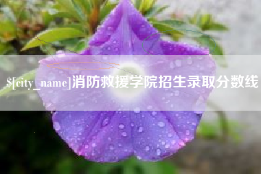 禹州消防救援学院招生录取分数线