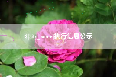 禹州执行信息公示