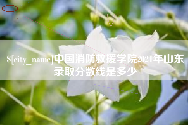 禹州中国消防救援学院2021年山东录取分数线是多少