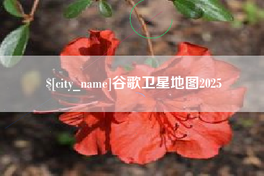 禹州谷歌卫星地图2025