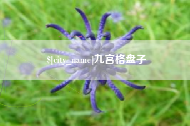 禹州九宫格盘子