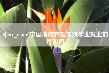 禹州中国消防救援学院毕业就业前景如何