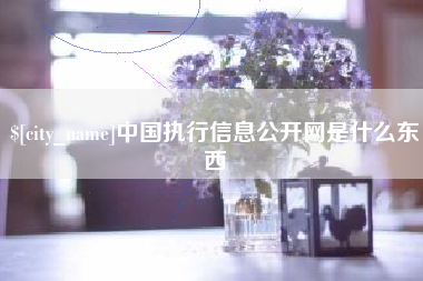 禹州中国执行信息公开网是什么东西