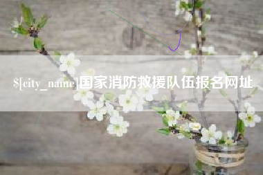 禹州国家消防救援队伍报名网址