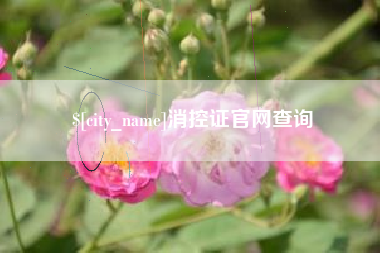 禹州消控证官网查询