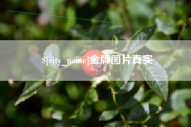 禹州金牌图片真实