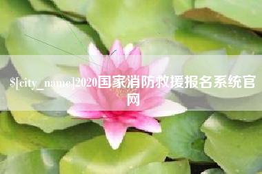 禹州2020国家消防救援报名系统官网