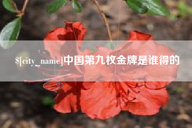 禹州中国第九枚金牌是谁得的