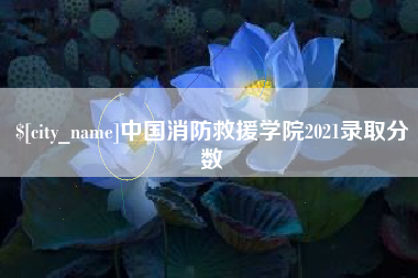 禹州中国消防救援学院2021录取分数