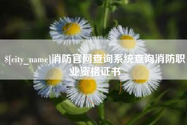 禹州消防官网查询系统查询消防职业资格证书