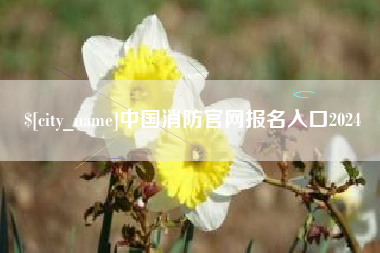 禹州中国消防官网报名入口2024