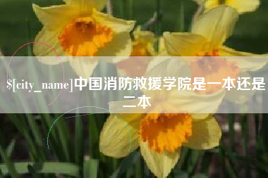禹州中国消防救援学院是一本还是二本