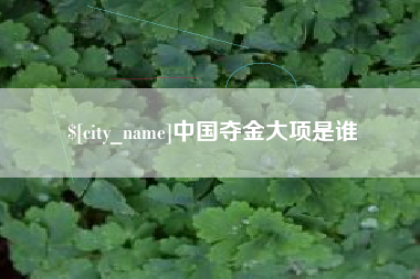 禹州中国夺金大项是谁
