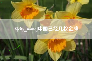 禹州中国已经几枚金牌