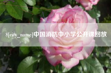 禹州中国消防中小学公开课回放