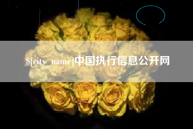 禹州中国执行信息公开网