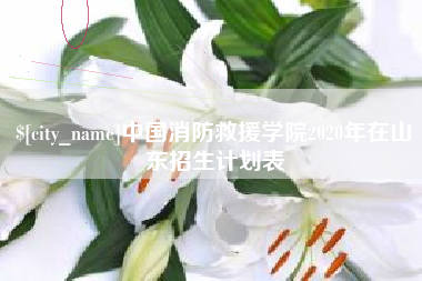 禹州中国消防救援学院2020年在山东招生计划表