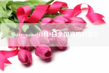 禹州11月9日全国消防日图片