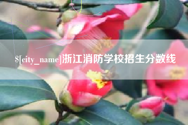 禹州浙江消防学校招生分数线