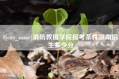 禹州消防救援学院报考条件湖南招生多少分