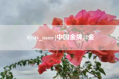 禹州中国金牌18金